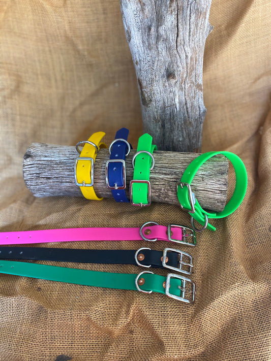 Medium dog collar