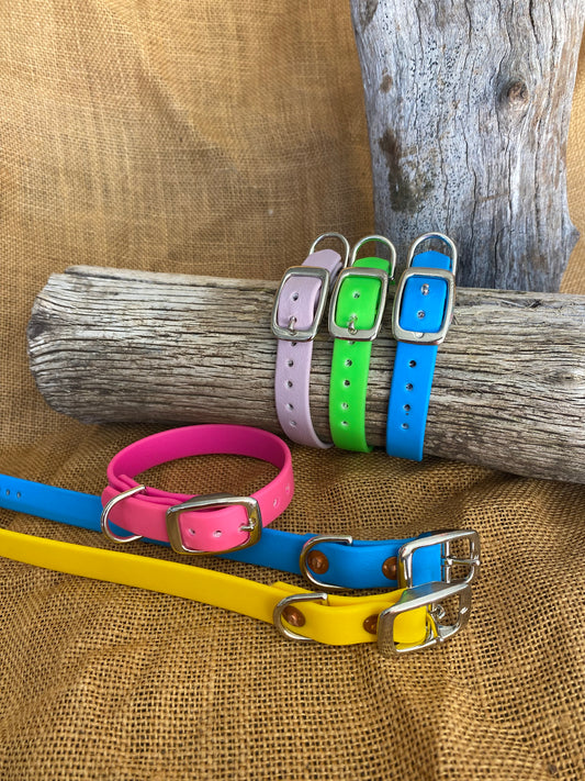 Small dog collar