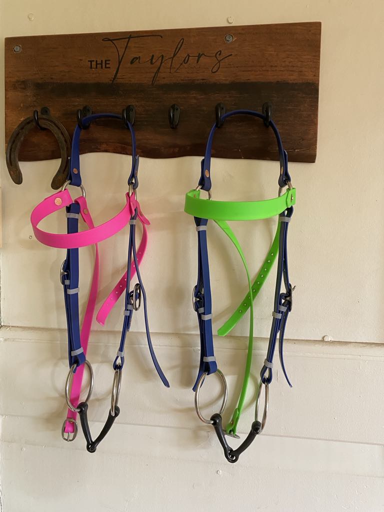Barcoo bridle