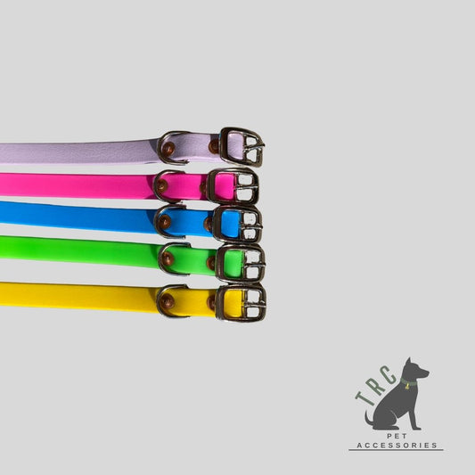 Small dog collar